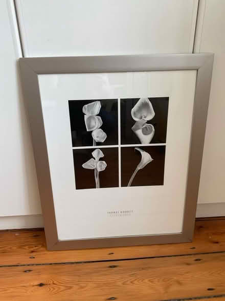 Photo of free Framed Picture (Lansdowne) #2