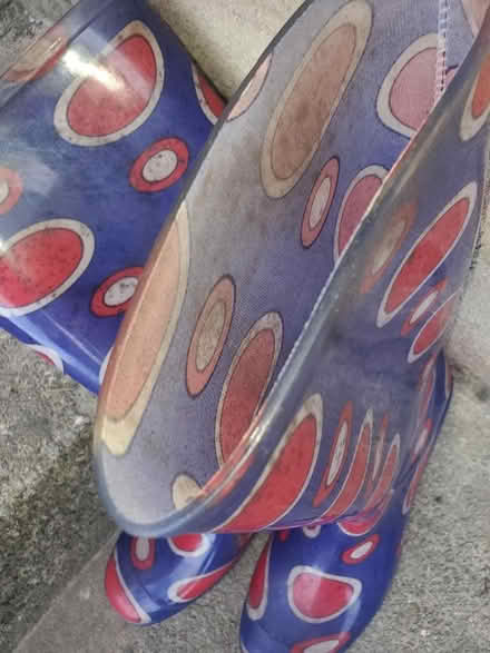 Photo of free Wellies adult size 8 (Kendal LA9) #1