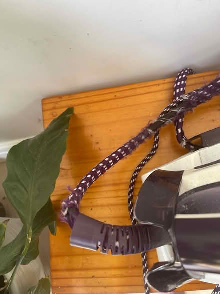 Photo of free Steam generator iron (Cheadle SK8) #2