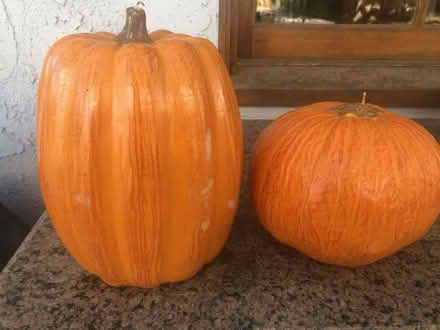 Photo of free Pumpkin candles (North Hollywood) #1