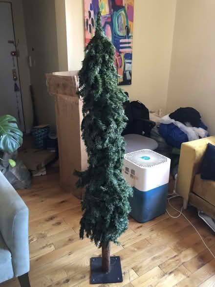 Photo of free 5-foot christmas tree with bark (Washington Heights) #1