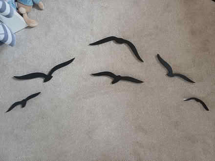 Photo of free Flying bird silhouette wall artwork (Slapton LU7 9DA) #1