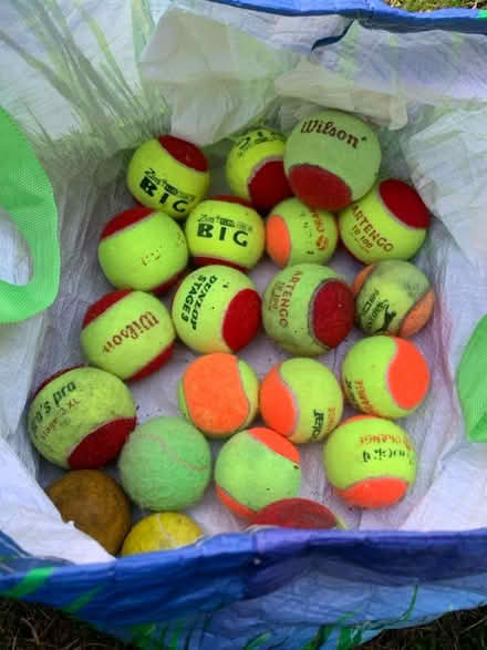 Photo of free Tennis Training balls - red/orange (Shortlands, BR2) #1