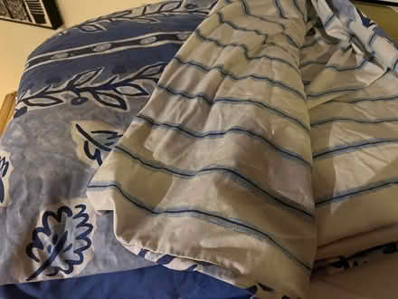 Photo of free Duvet cover full/queen / cotton (Chevy Chase DC) #1