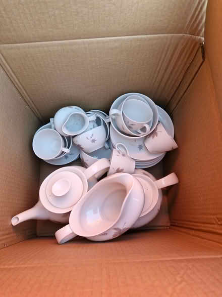 Photo of free Royal Doulton Tumbling Leaves p/set (BR1 bickley) #1