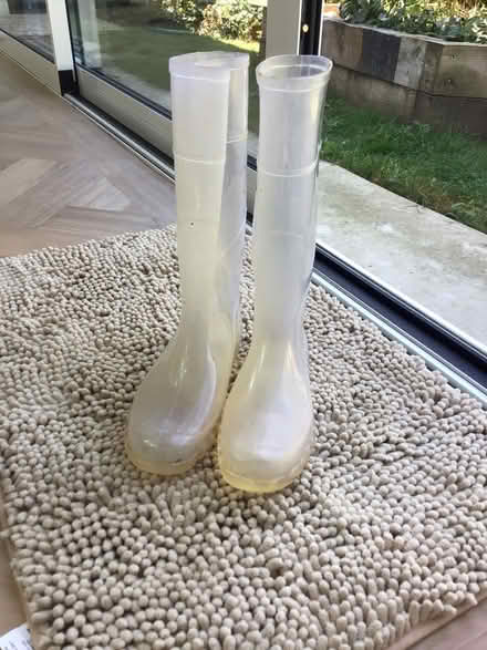 Photo of free See through wellies size 38 (South Ferring BN12) #1