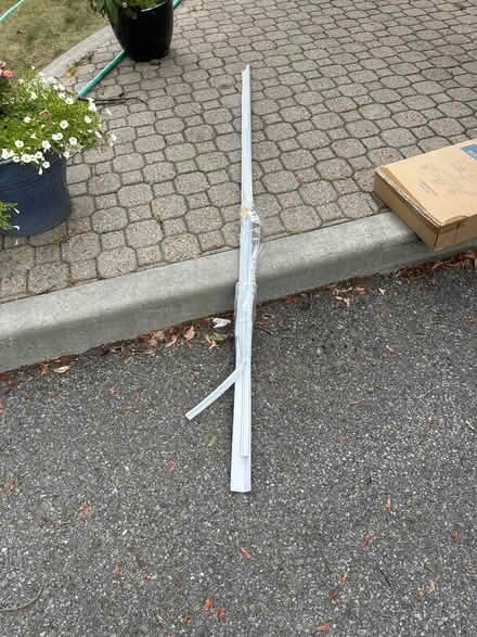 Photo of free Sore seal (Woodpark) #1