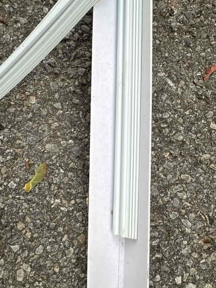 Photo of free Sore seal (Woodpark) #2