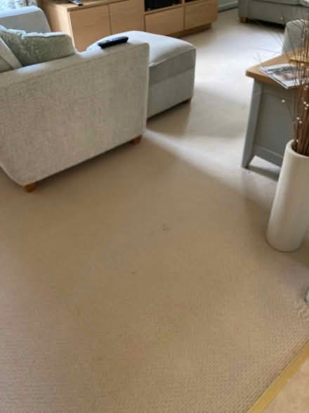 Photo of free Carpet (Chells Manor SG1) #1