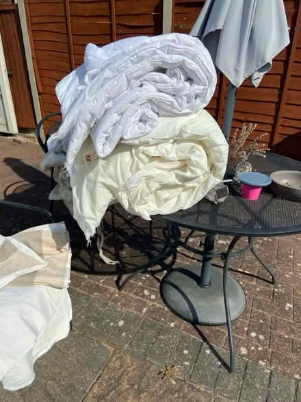 Photo of free Two single duvets (DE21 Chaddesden) #1