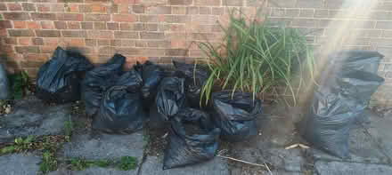 Photo of free Quality top soil from a local garden - 10 bags (Surrenden BN1) #2