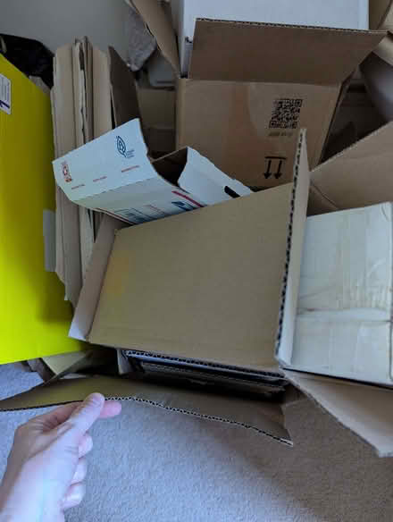 Photo of free Small / medium cardboard boxes and envelopes COLL ONLY (Whoberley CV5) #1