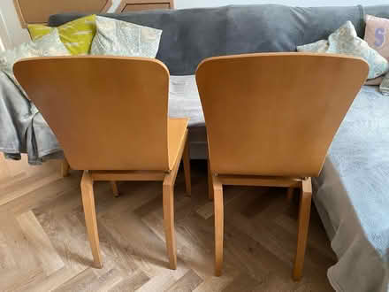 Photo of free Lovely dining Chairs (Epsom KT18) #3