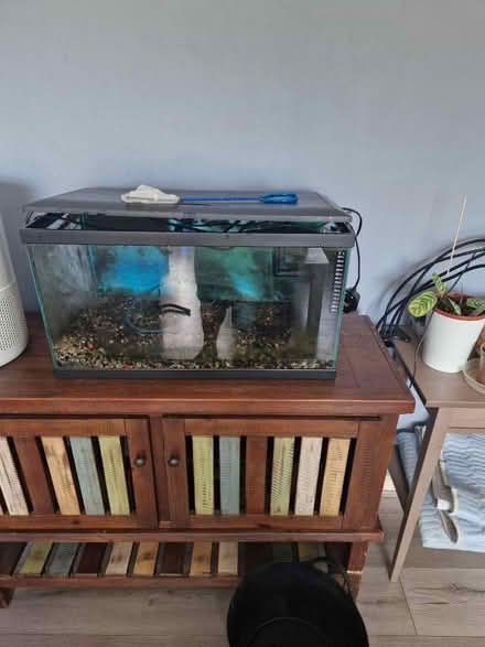 Photo of free Fish tank (BS39) #1