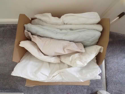 Photo of free Pet Bedding (Wistaston) #1