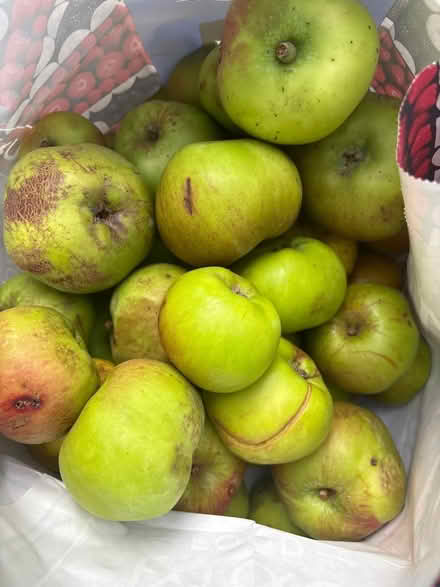 Photo of free 2 bags of apple (Win) #2