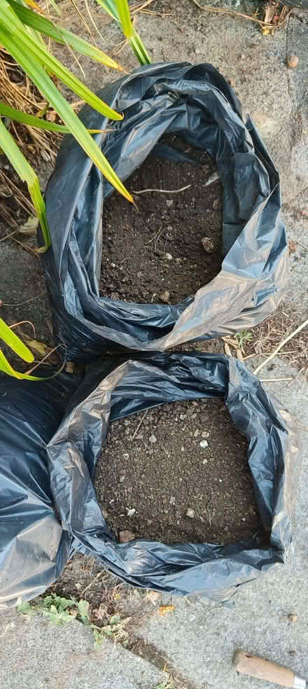 Photo of free Quality top soil from a local garden - 10 bags (Surrenden BN1) #1