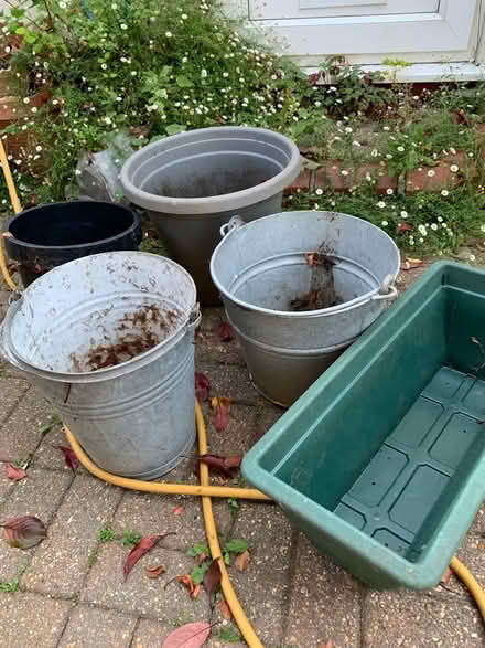 Photo of free Large garden pots / containers (Purbrook PO7) #1