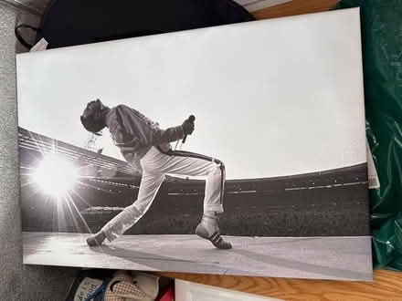 Photo of free Freddie Mercury Canvas (Staines-upon-Thames TW18) #1