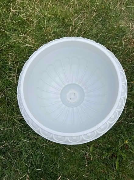 Photo of free Plastic plant pot (haslingfield) #2