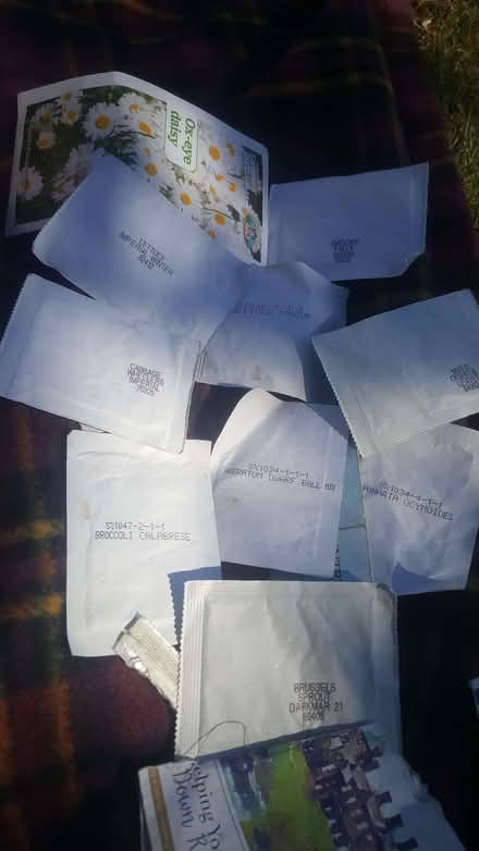 Photo of free old seeds (New Greens AL3) #1