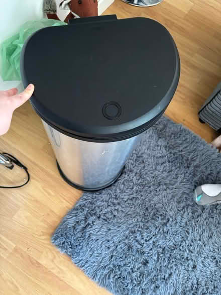 Photo of free Bin (Ash) #1