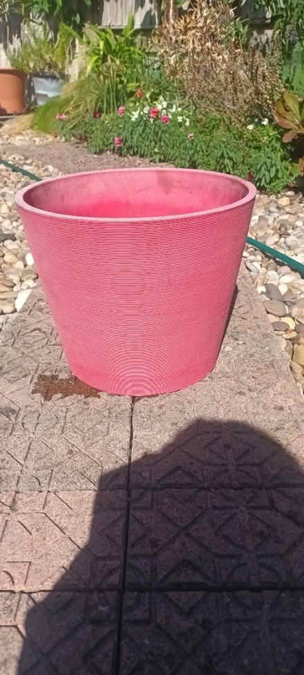 Photo of free Red, plastic plant pot (Bear flat) #1