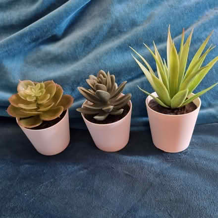 Photo of free Three faux plants (Garden City OX5) #1