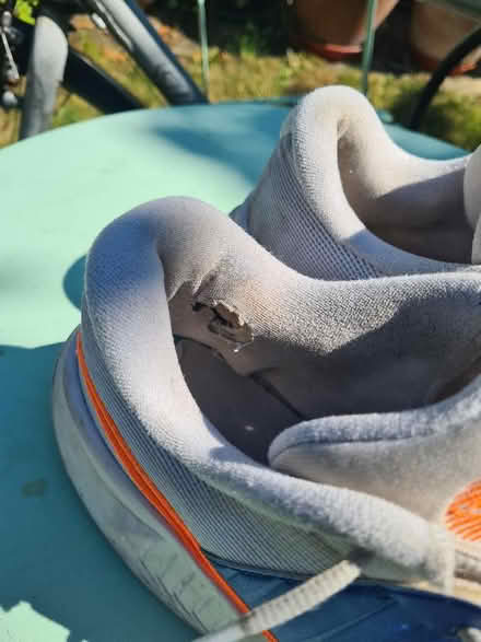 Photo of free Nike tennis shoes size 11.5 (Merton Park SW19) #2