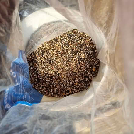 Photo of free Bird seed (Hanworth TW13) #1