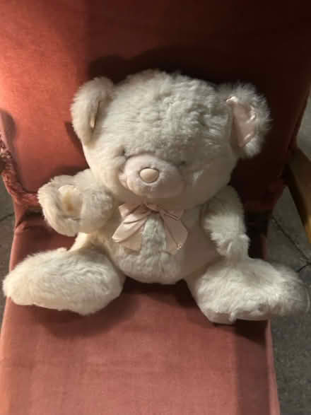 Photo of free Teddy bear (Stevenage SG1) #1