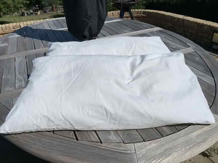 Photo of free Extra Large Pillows + Pillowcases (Potters Bar EN6) #2