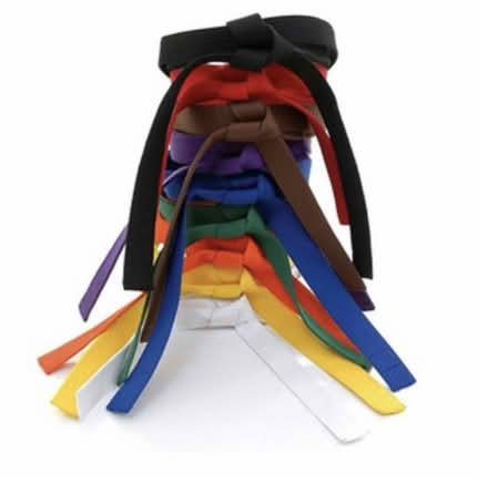 Photo of Martial arts uniform belt (Queen Village) #1