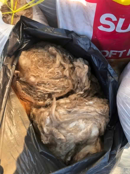 Photo of free Loft insulation (Malling, lewes) #3