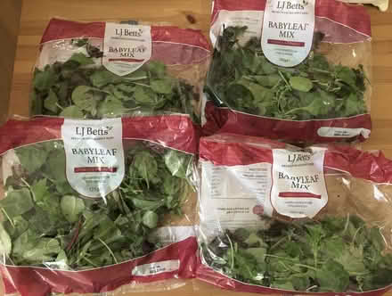 Photo of free 3 x Bags of salad (SW16) #1