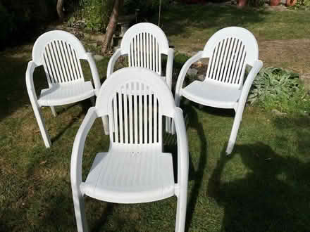 Photo of free Garden chairs (Old Malden KT3) #3