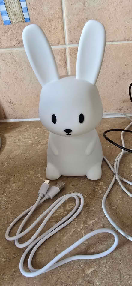 Photo of free Bunny night light (Bowbridge GL5) #3