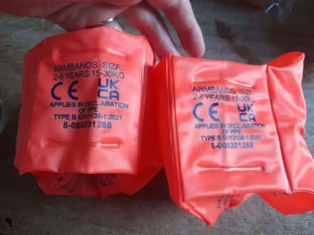 Photo of free Armbands for swimming, age 2-6 (Hillsborough S6) #2
