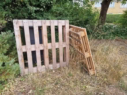 Photo of free wood pallets (CM2 springfield, chelmsford) #2