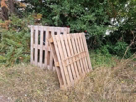 Photo of free wood pallets (CM2 springfield, chelmsford) #1