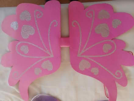 Photo of free Fairy wings (Sale M33) #2
