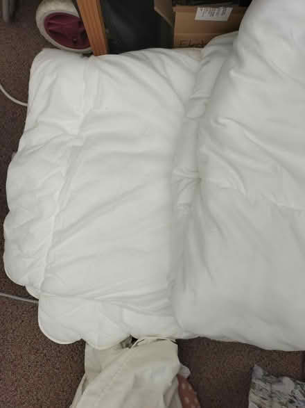 Photo of free 2 Single Duvets VGC (Waterlooville PO7) #1