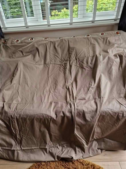 Photo of free Mink eyelet curtains (Windsor SL4) #1