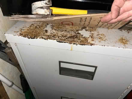 Photo of free Grey Metal 4-Drawer Filing Cabinet, No Key (Greengates BD10) #3