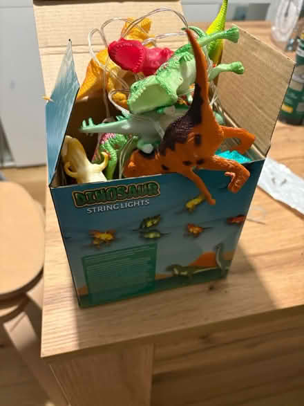 Photo of free Dinosaur string light (Botley, Oxford, OX2) #2