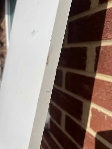 Photo of free White melamine chipboard plank (Caldecott OX14) #3