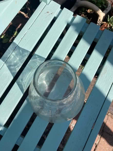 Photo of free Glass bottle for indoor plants (Colchester station CO4) #2
