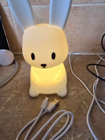 Photo of free Bunny night light (Bowbridge GL5) #1