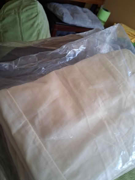 Photo of free New Shorts Never worn (07075 - Wood Ridge) #2