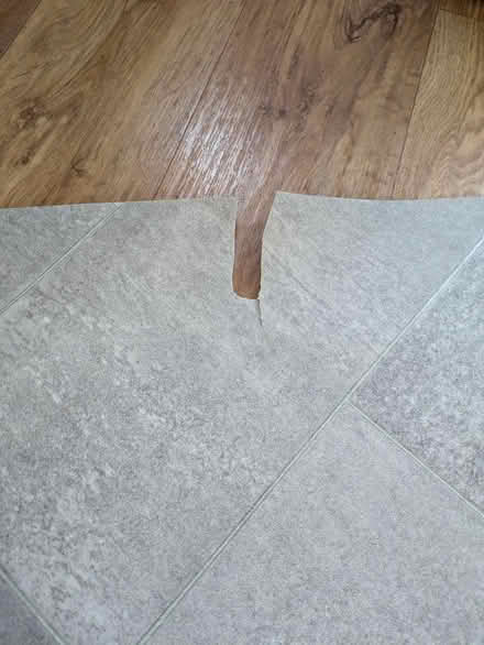 Photo of free Cushion flooring (Carlisle CA1) #1